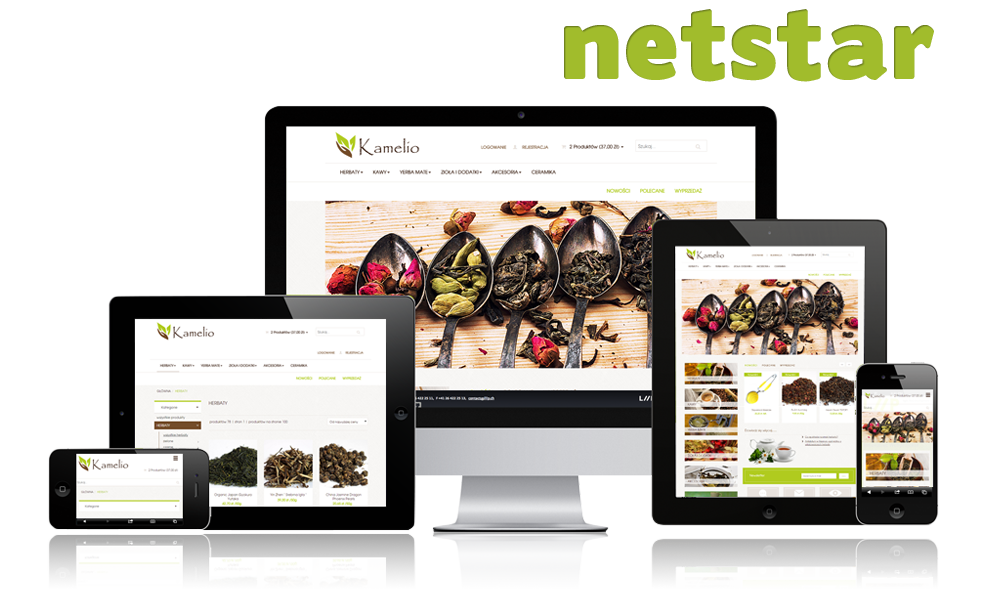 tworzenie sklepów internetowych - netstarstudio.com.pl